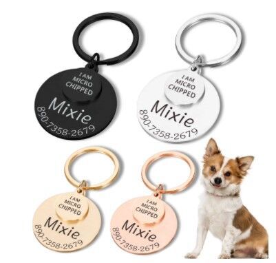  Personalized pet protection collar and key chain 