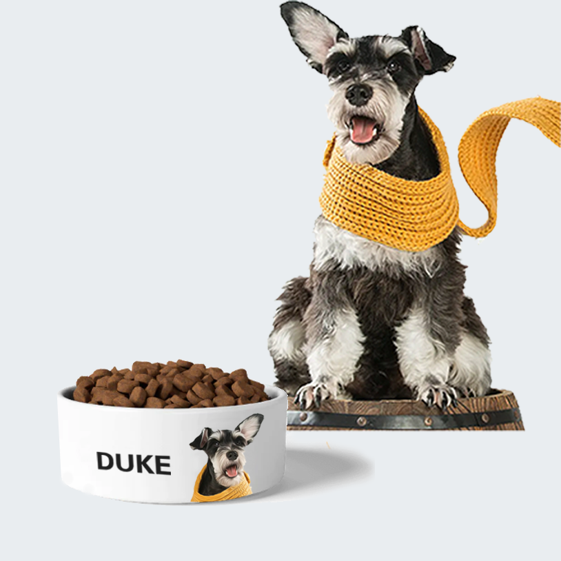 Personalized Pet Bowl
