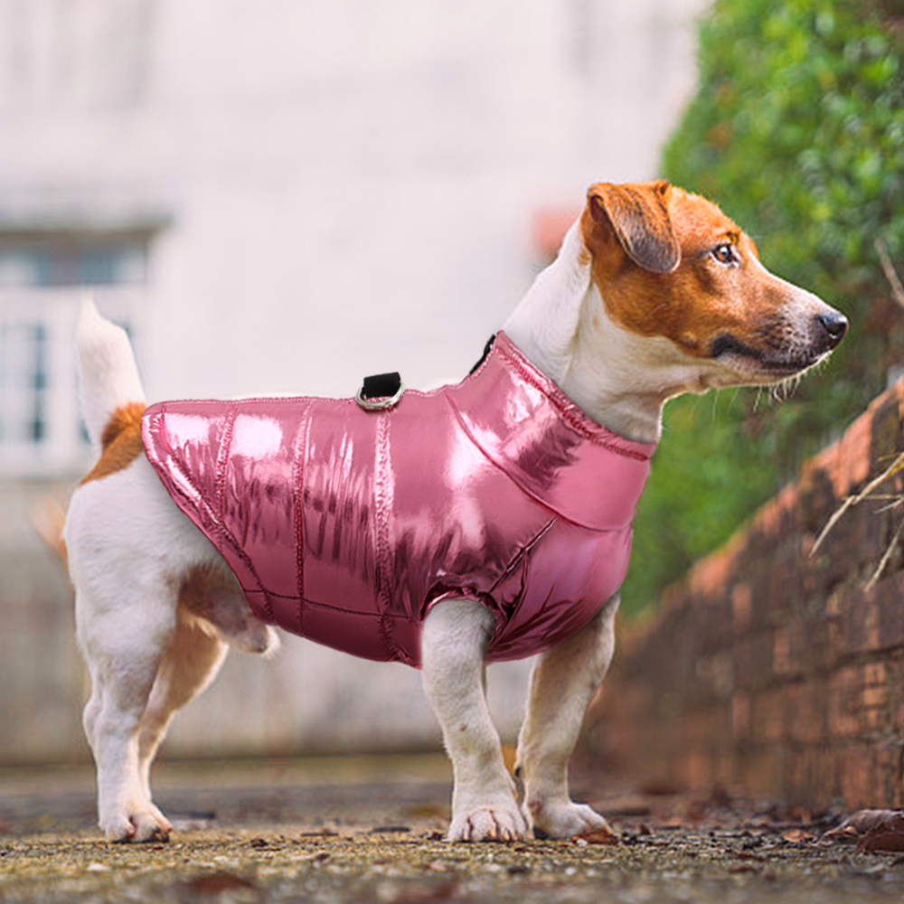 Winter Waterproof Clothing Warm Clothing For Dogs