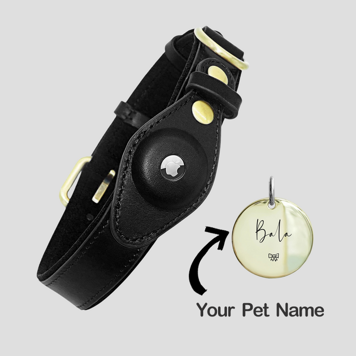 CustomizingBox PERSONALIZED PET AIRTAG COLLAR