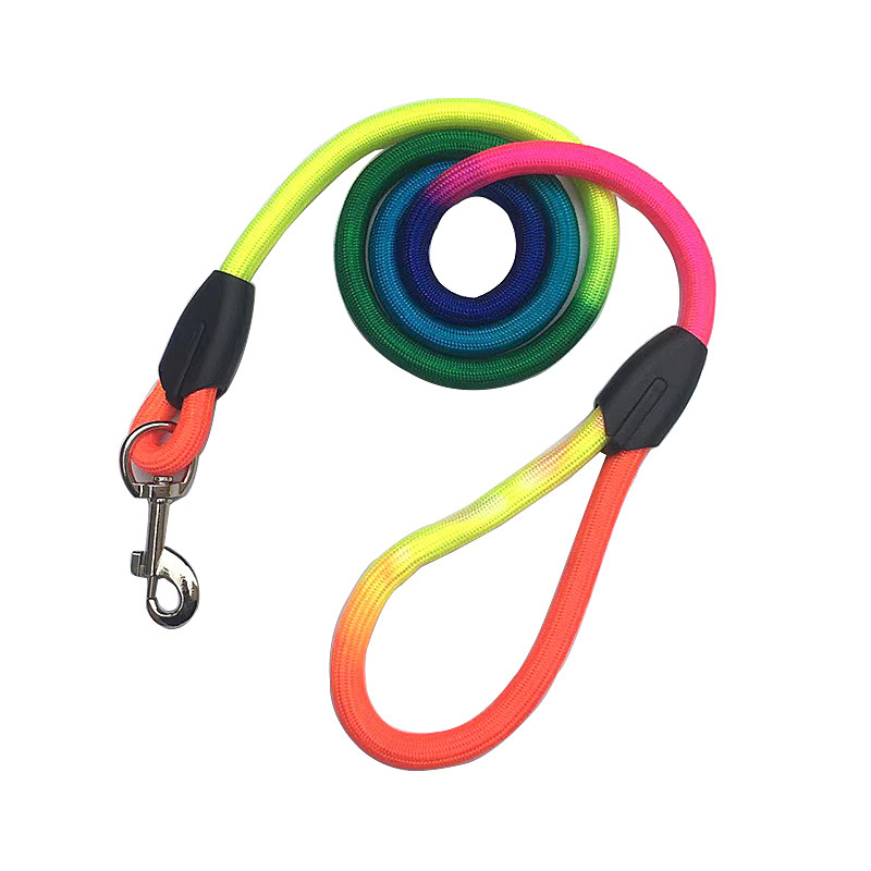 Multicolor dog leash