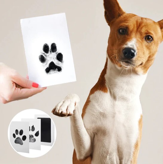 PAW PRINT STAMP PADS