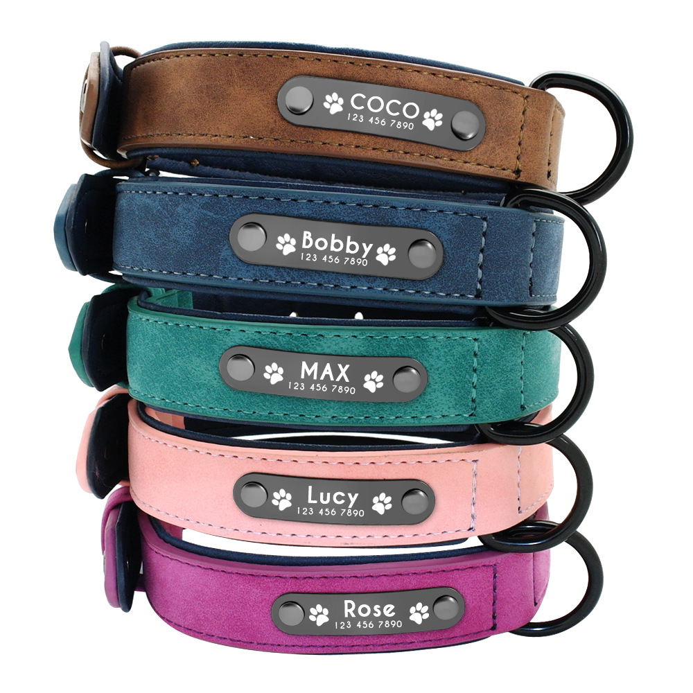 Customized Dog Collar