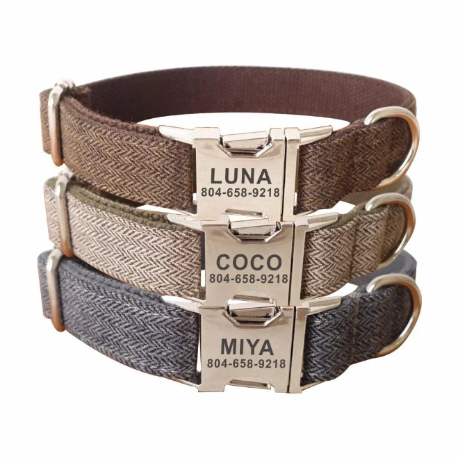 Customized Engraving Name Dog Collar