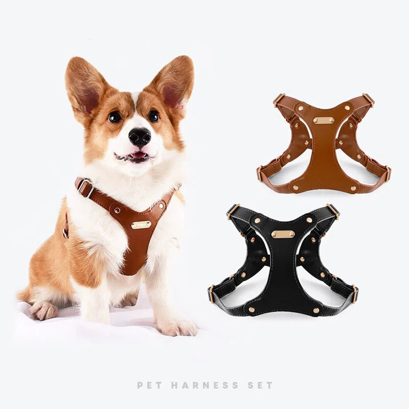 Personalized Dog Harness and Leash Set, Custom Pet Name Eco-Friendly Leather Harness