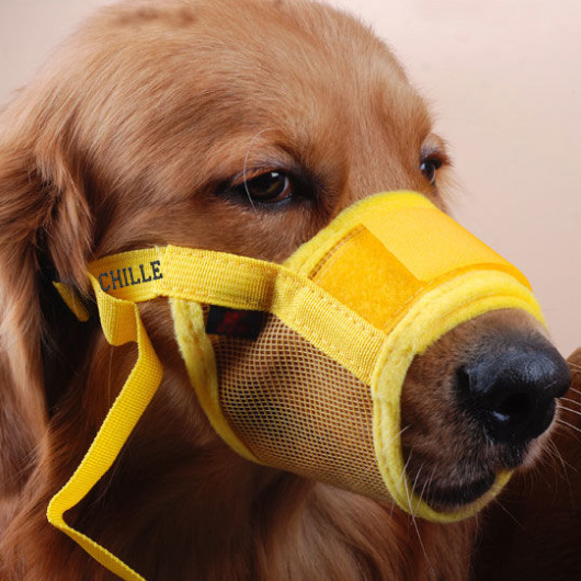 Personalized Pet Polyester Muzzle with Custom Name Embroidered