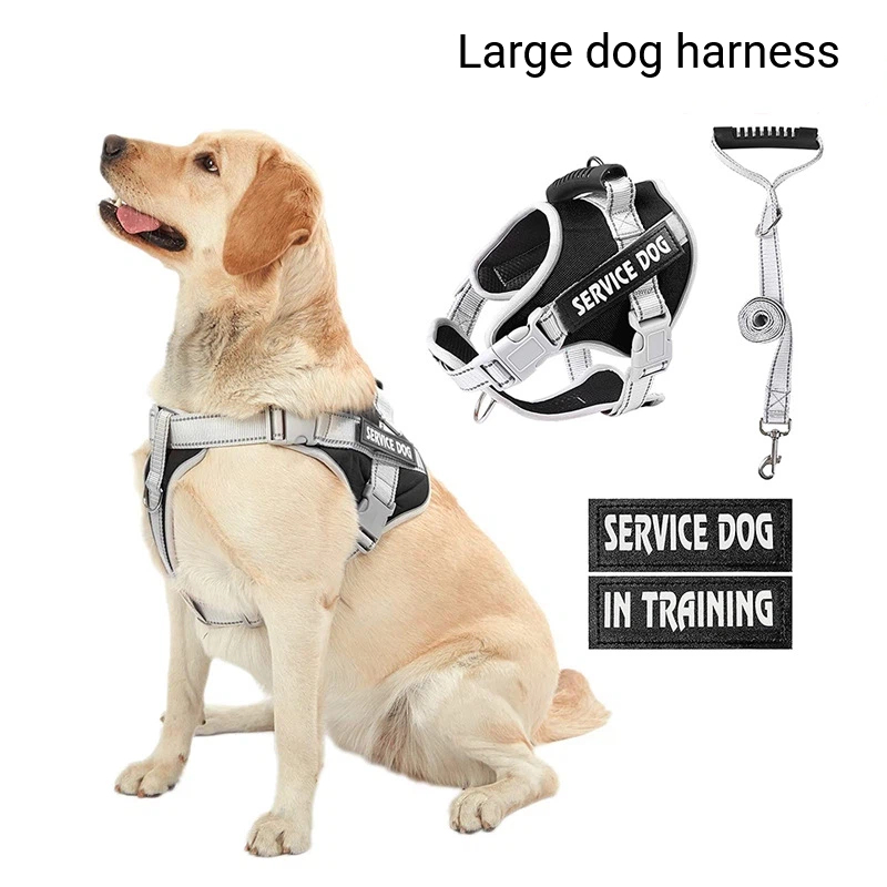 Personalized Large Dog Harness