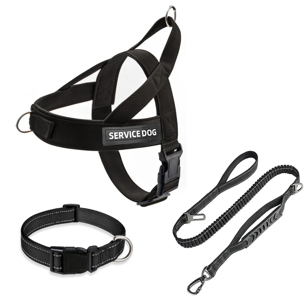 Personalized No-Pull Dog Harness, Collar & Name Patch Set