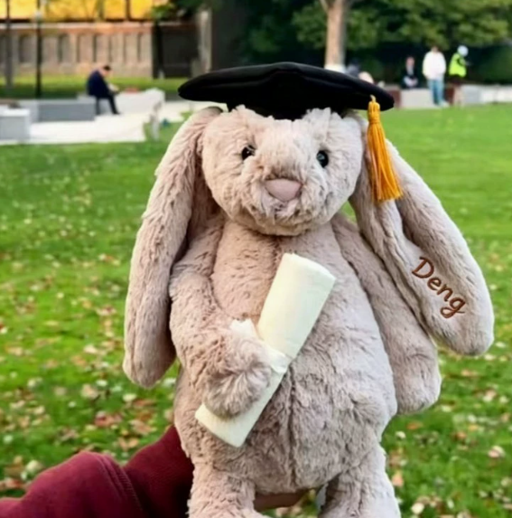 Personalized Graduation Doctor Bunny Plush with Name