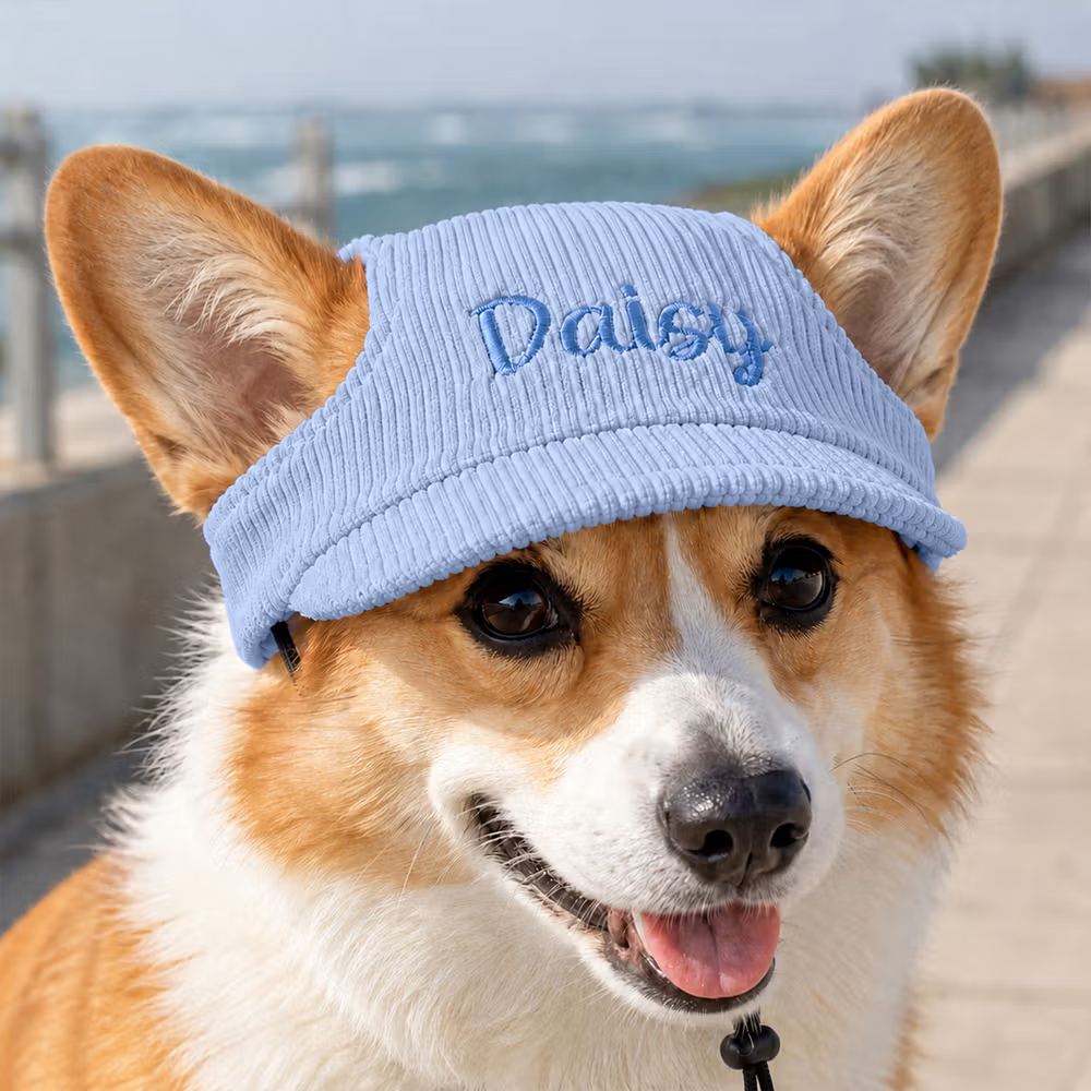 Personalized Embroidered Name Design Multicolor Adjustable Pet Sun Hat with Ear Holes Pet Daily Wear Birthday Gift for Pet Owners Lovers